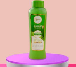 Shampoo Con Aloe Vera De Anyeluz 500ml